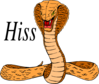 Cobra Hissing Clip Art